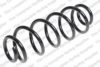 LESJ?FORS 4204282 Coil Spring